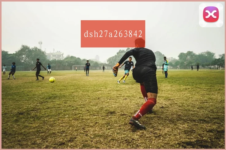 dsh27a263842