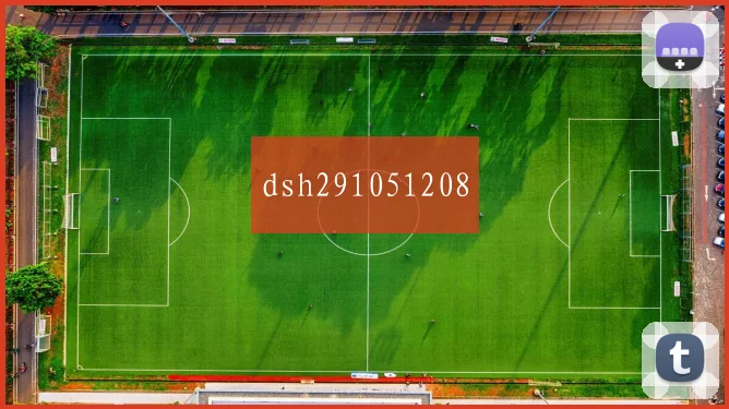 dsh291051208