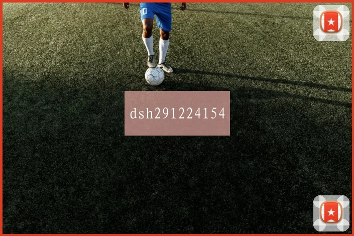 dsh291224154