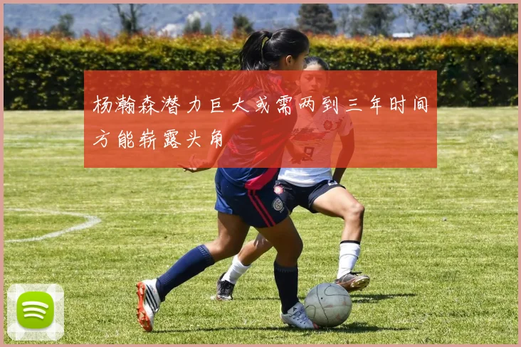 杨瀚森潜力巨大或需两到三年时间方能崭露头角