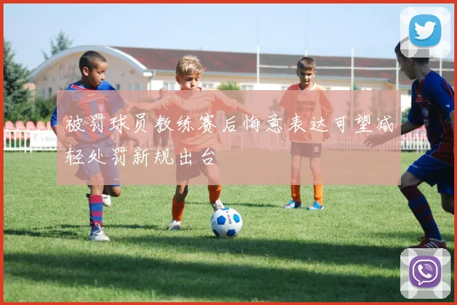 被罚球员教练赛后悔意表达可望减轻处罚新规出台