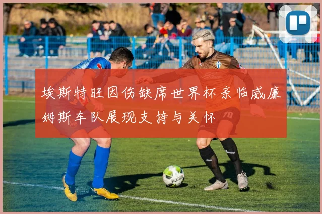 埃斯特旺因伤缺席世界杯亲临威廉姆斯车队展现支持与关怀